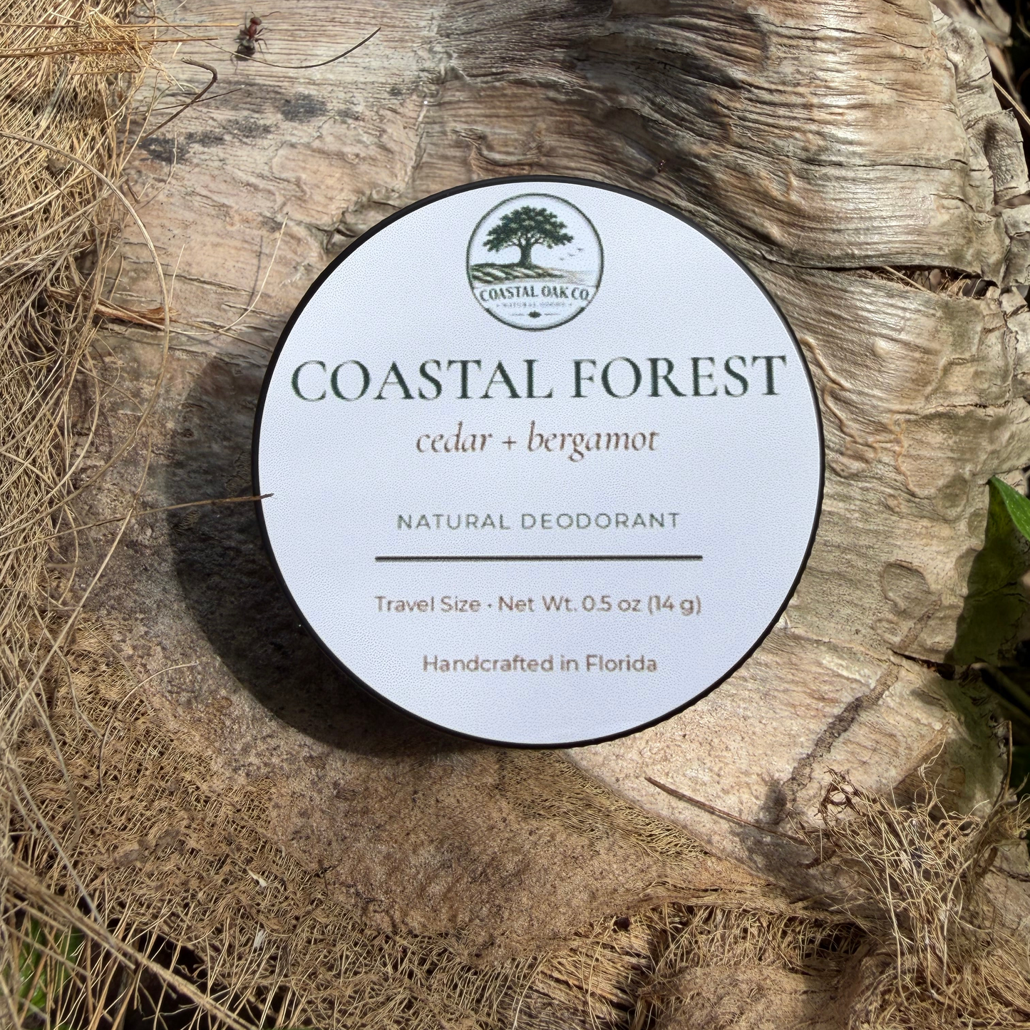 FREE Coastal Forest Sample — Just Pay Shipping