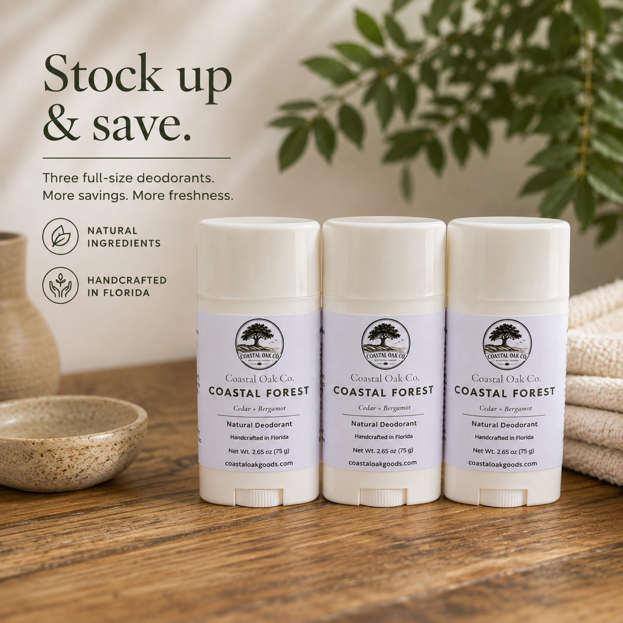 Coastal Forest | 3-Pack