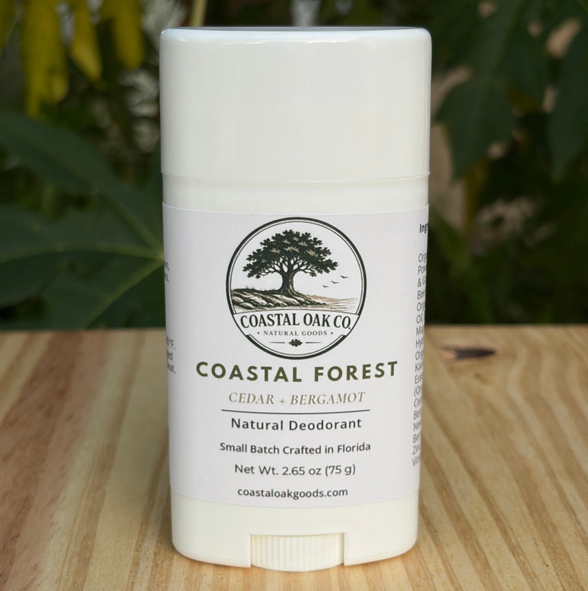 Coastal Forest Natural Deodorant | Cedar + Bergamot
