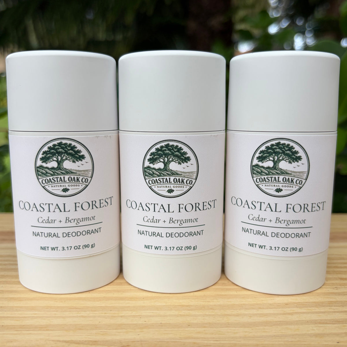 Coastal Forest 3-Pack Cedar + Bergamot