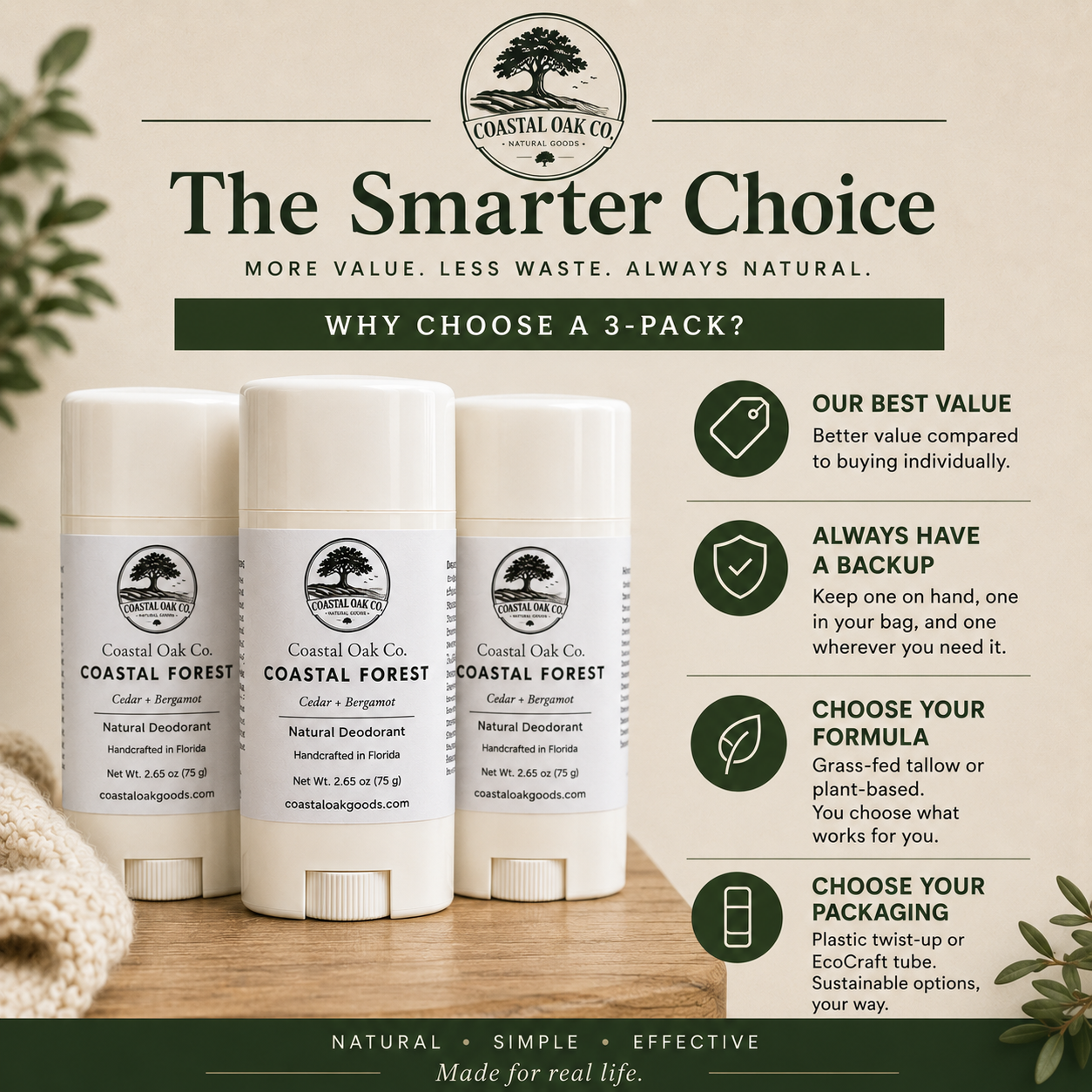 Coastal Forest | 3-Pack