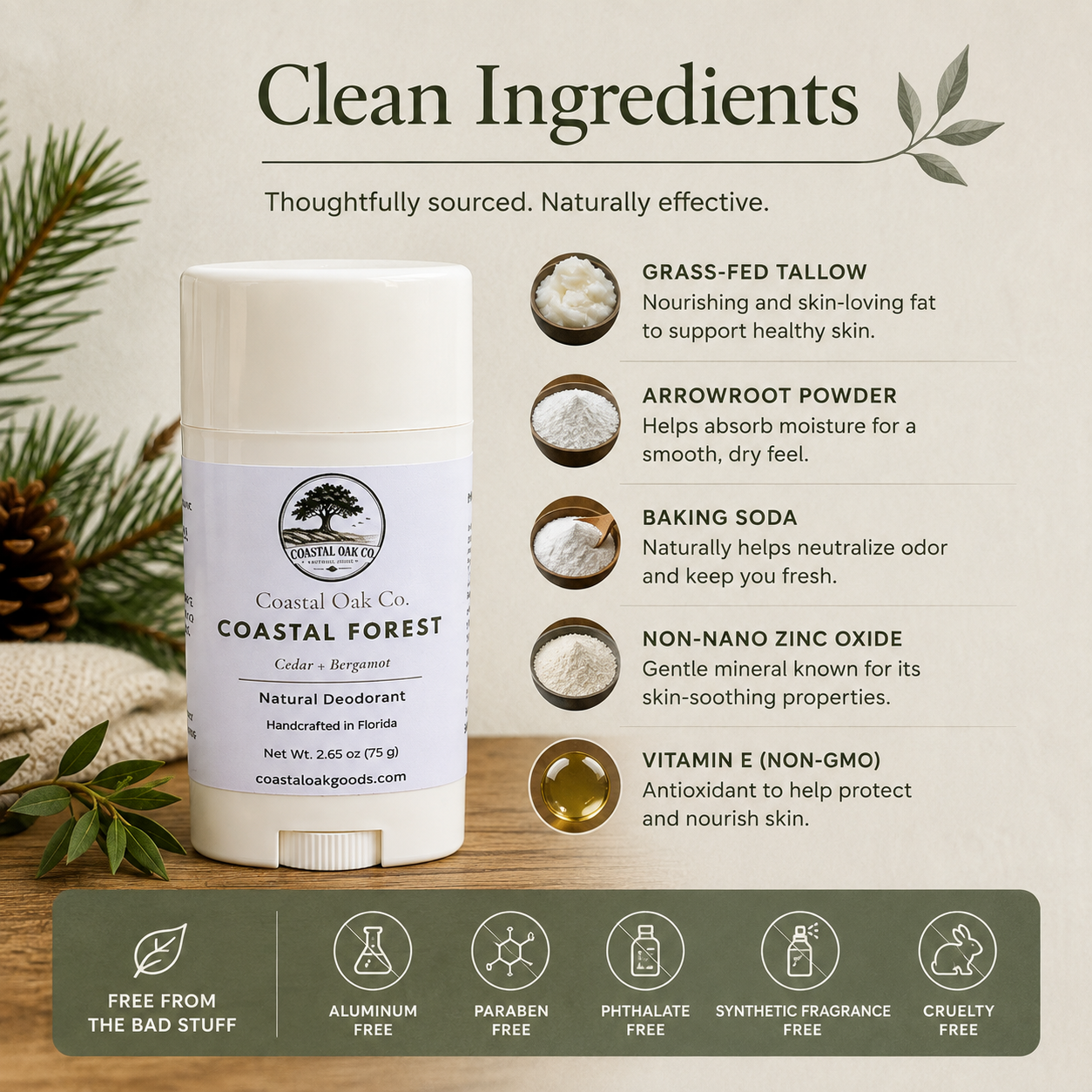 Coastal Forest | 3-Pack
