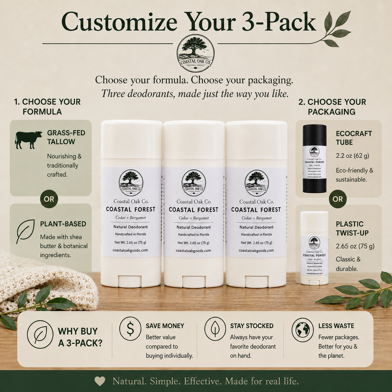 Coastal Forest | 3-Pack