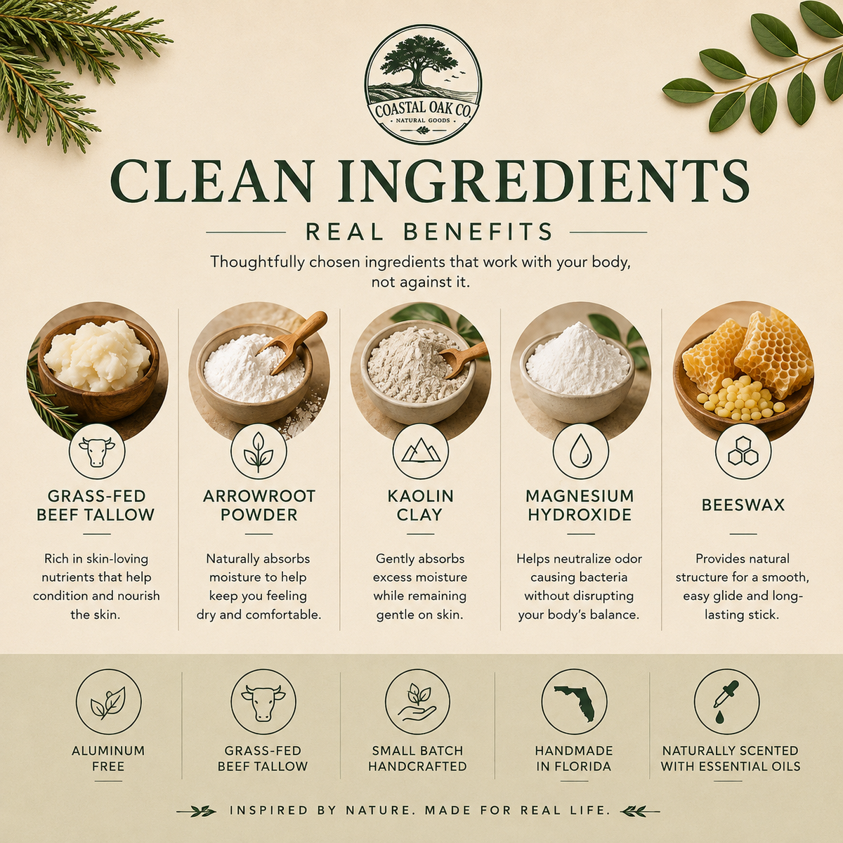 Coastal Forest Natural Deodorant | Cedar + Bergamot